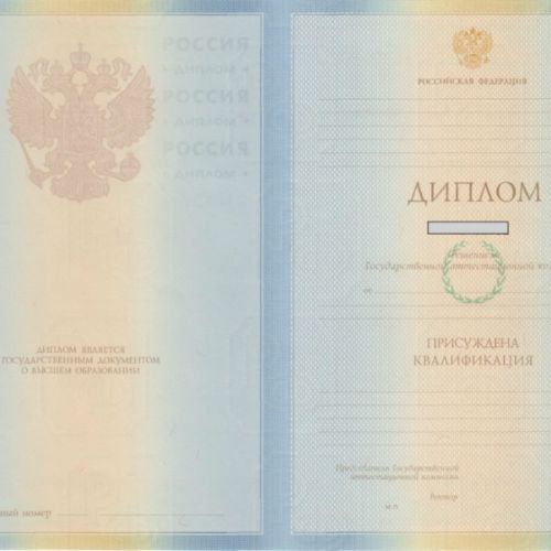 Диплом университета специалиста с 2009 по 2010
