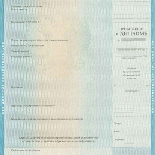 Диплом бакалавра 2009-2010