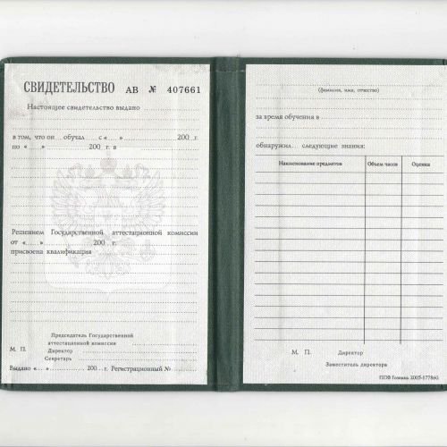 Свидетельство о профессиональном образовании (ПТУ)